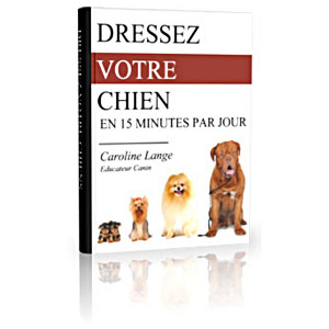 Formation dresser votre chien en 15 minutes par jour