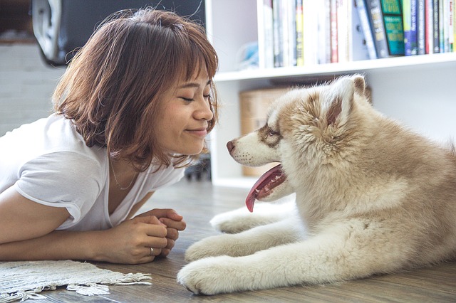 Chien heureux