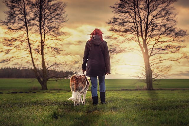 Chien qui marche avec son maitre