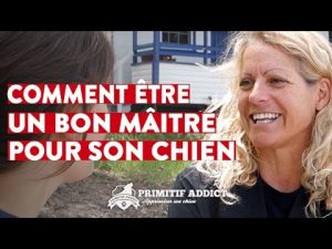 Comment être un bon maître pour son chiot/chien