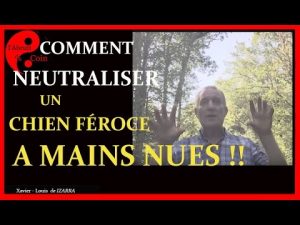 Comment neutraliser un chien féroce qui vous attaque ?