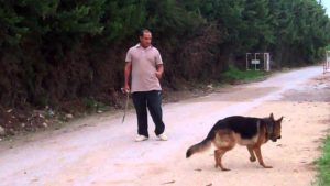 Dressage Chien commandement à distance et Refus d'Appât