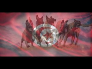 Dressage de chien Tunisie