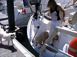 Education canine : Apprendre à monter à bord d'un voilier