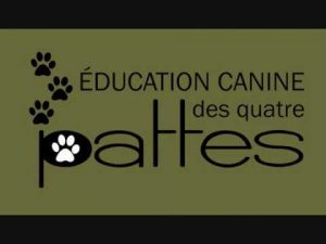 Éducation canine : Avoir un chien calme chez le vétérinaire