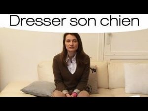 Eduquer votre chiot à la propreté