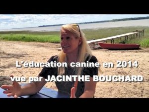 L'éducation canine vue par JACINTHE BOUCHARD.