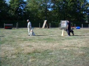 Séance d'éducation canine