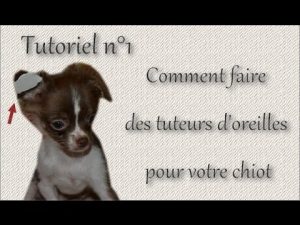 Tuteurs d'oreilles pour chien/chiot