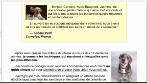 Tuto : Comment dresser rapidement son chien