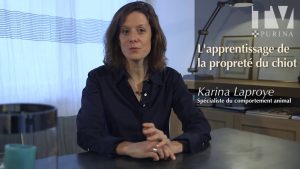 Apprendre la propreté à son chiot