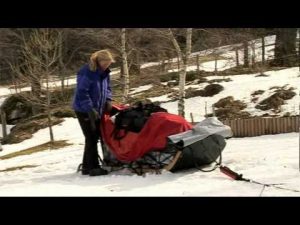 Apprendre le traineau à chiens Husky chiens de traineau