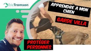 COMMENT APPRENDRE A MON CHIEN : chien de garde