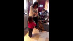 Comment entraîner un chiot à ne pas sauter sur un jeune enfant
