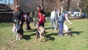 COURS COLLECTIF CHIOTS