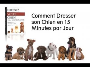 Découvrez ma méthode éducation canine facile pour éduquer votre chien vous même