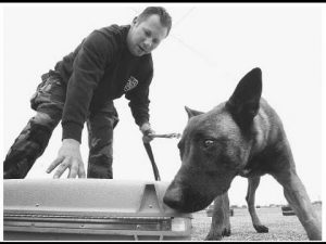 DES CHIENS A L'ECOLE DES DOUANES : UNE FORMATION HALLUCINANTE