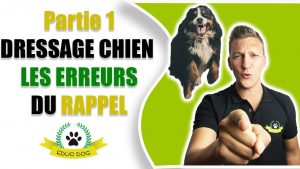 DRESSAGE CHIEN APPRENDRE LE RAPPEL A SON CHIEN