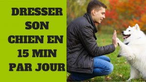 Dresser Son Chien en 15 Min Par Jour