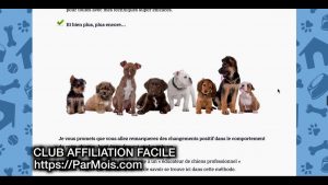 DRESSEZ VOTRE CHIEN EN 15 MINUTES PAR JOUR