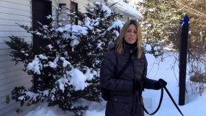Éducateur canin Montréal : Entraîner un chien à ne pas tirer en laisse