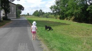 Education canine et enfants