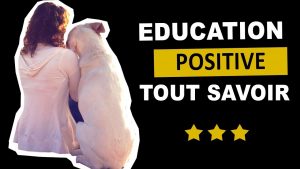 EDUCATION POSITIVE CHEZ LE CHIEN : LES BASES