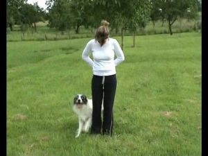 L'obérythmée ou l'art de faire danser son chien !