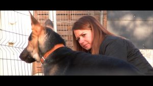 REEDUCATION X MALINOIS / EDUCATION CANINE / PRISE EN MAIN EDUCATIVE